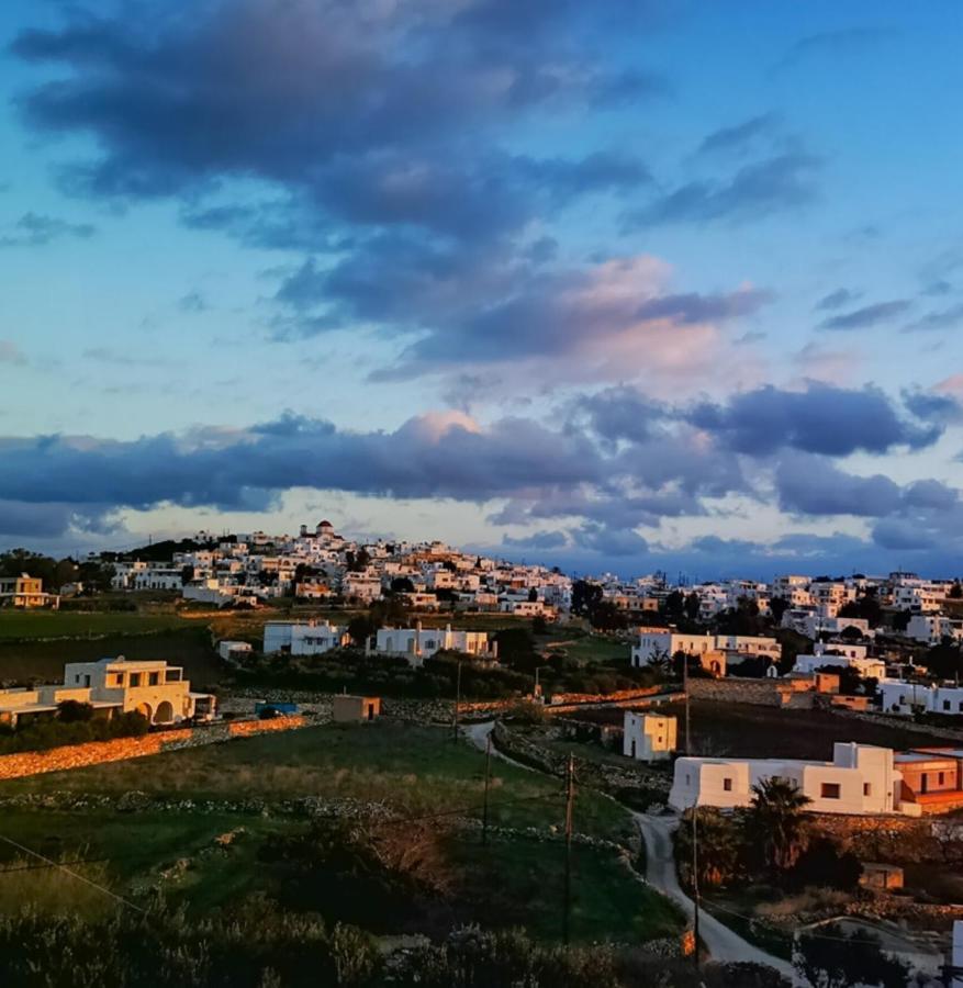 Amphitrite'S Haven - Cycladic House In Marpissa, Paros Villa Екстериор снимка